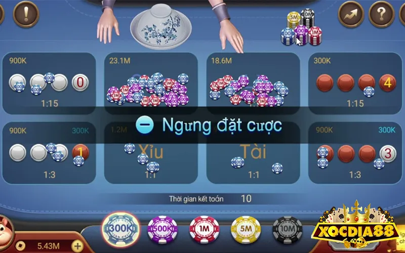 Thuật toán xóc đĩa online tác động đến kết quả, khiến người chơi đau đầu tại sao chơi xóc đĩa online toàn thua